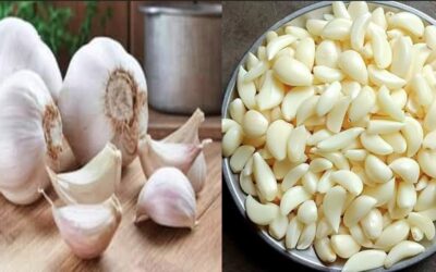 सुबह खाली पेट कच्चा लहसुन खाना कितना फायदेमंद? जानें फायदे, नुकसान और सही तरीका