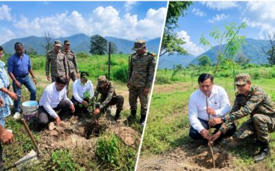 पौधे नहीं, भविष्य की हरियाली तैयार कर रहा एमडीडीए